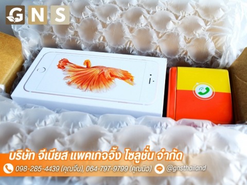 จีเนียส แพคเกจจิ้ง โซลูชั่น (2)